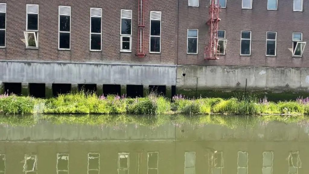Eiland voor de RET-remise