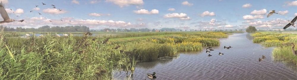 Landschap en water in Marickenland